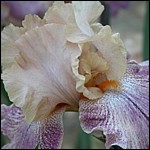 DSCN0076.JPG